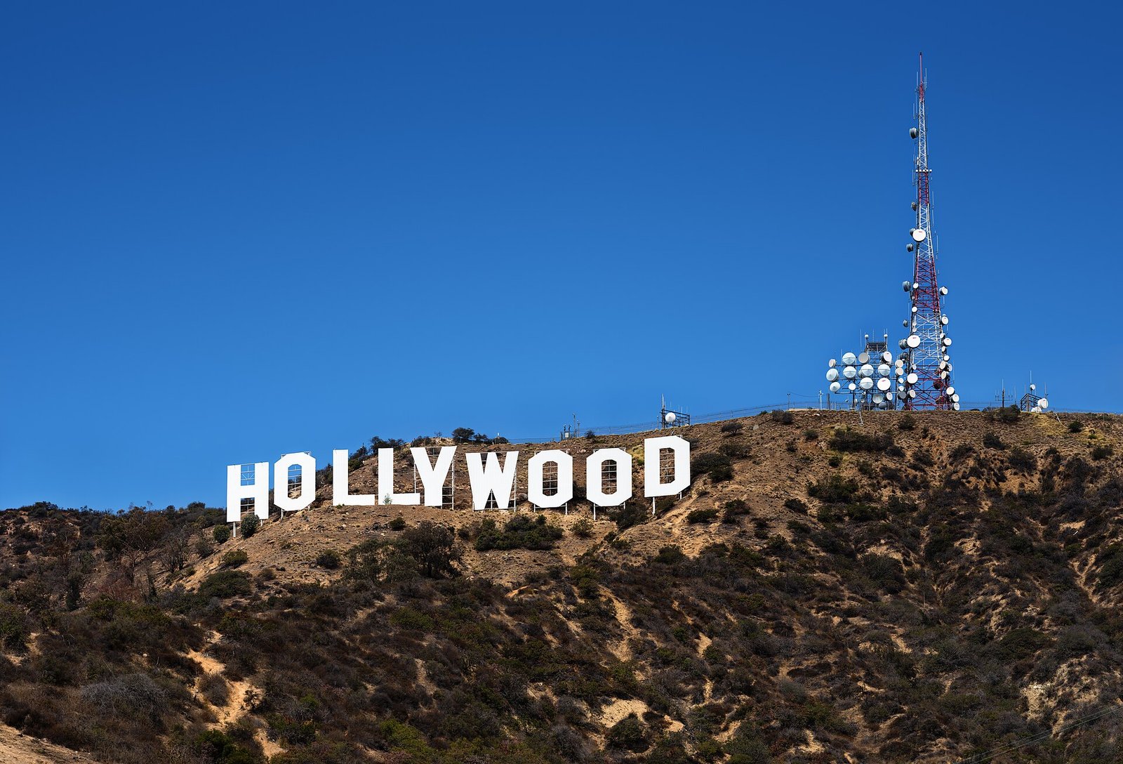 CAA Hires Steve Roy for Its Motion Picture Literary Team