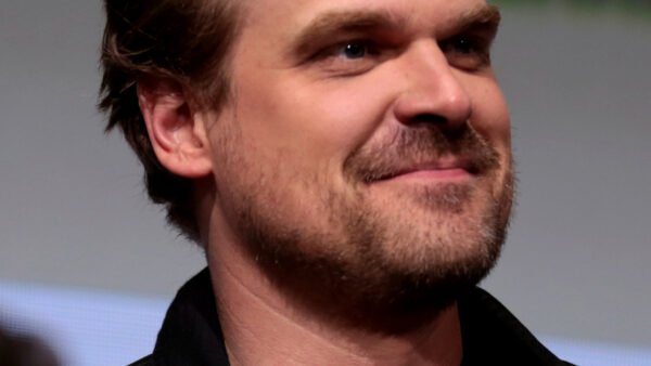 David Harbour Wins His First Emmy for ‘DTF St. Louis’