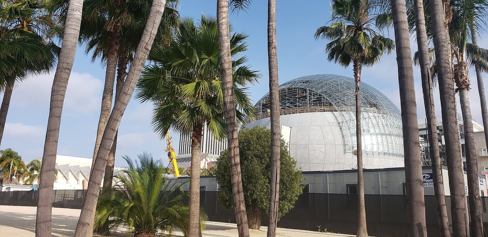 Academy Museum Gala Draws Hollywood’s Biggest Stars