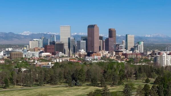 Denver Film Festival Sets 129-Title Lineup for Its 49th Edition