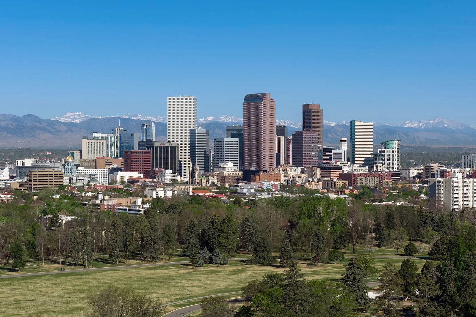 Denver Film Festival Sets 129-Title Lineup for Its 49th Edition