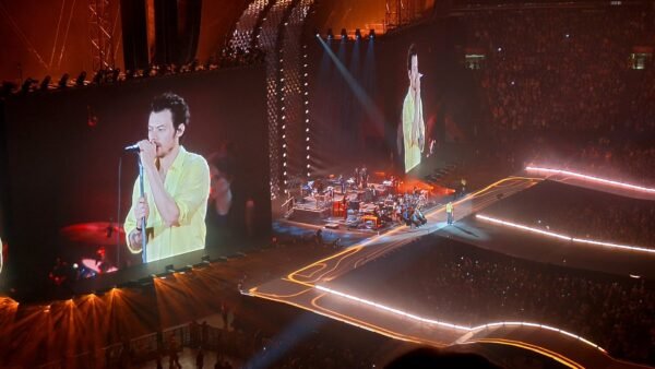 Harry Styles Tour Documentary Is in the Works