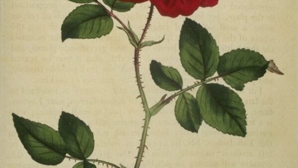 Mel Owens Shares His First Message After Peg Munson Split