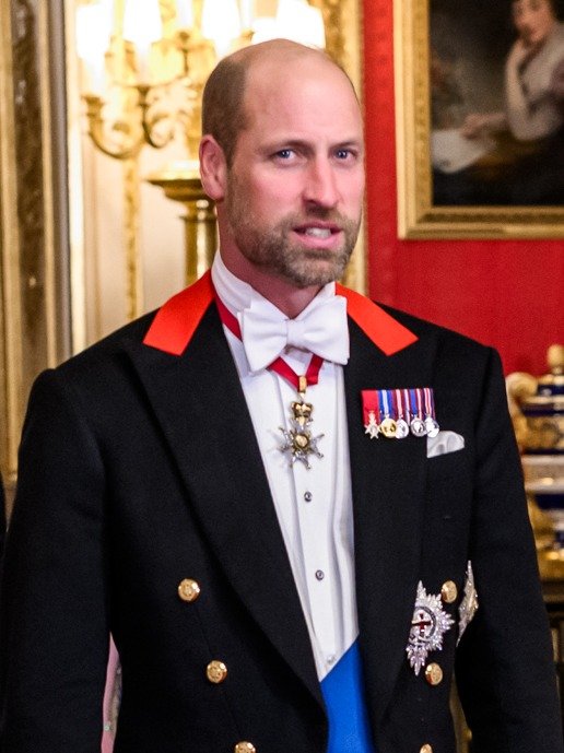 Prince William Makes a Surprise Graham Norton Appearance