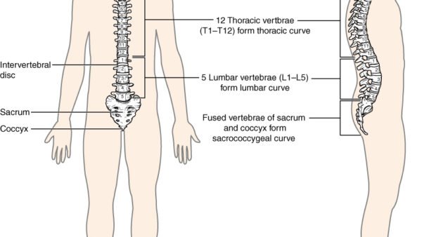 Gabby Windey Says a Vibration Plate Cracked a Vertebra